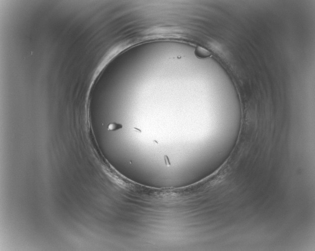 X0000061751370200512161705