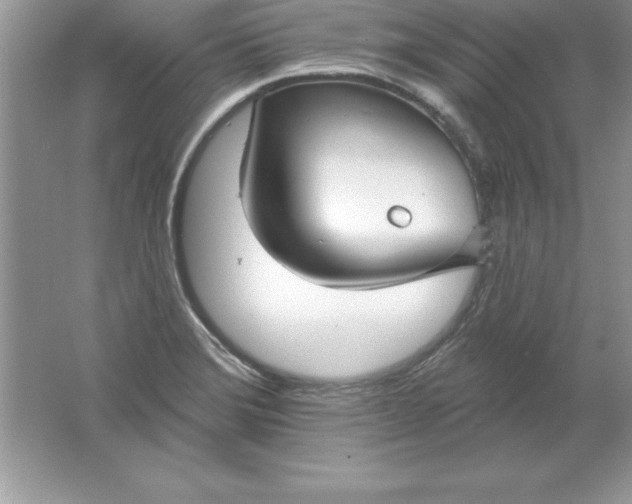 X0000061751372200512161705