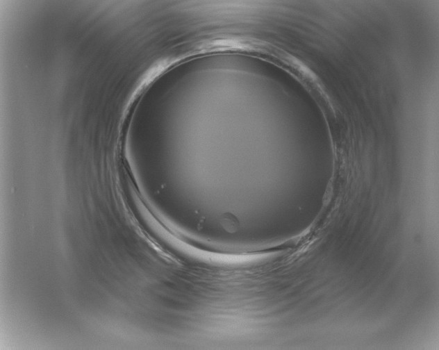 X0000061751373200512161705