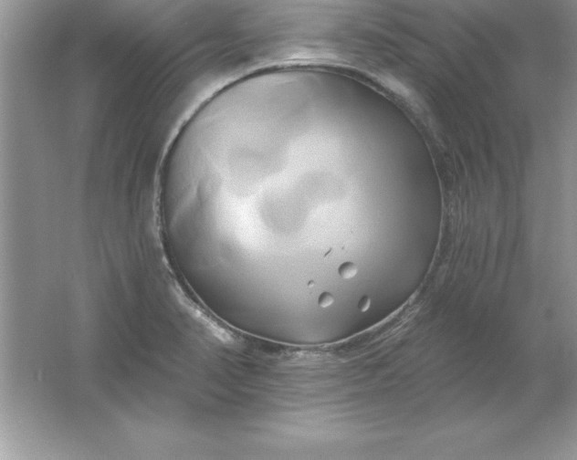 X0000061751374200512161705