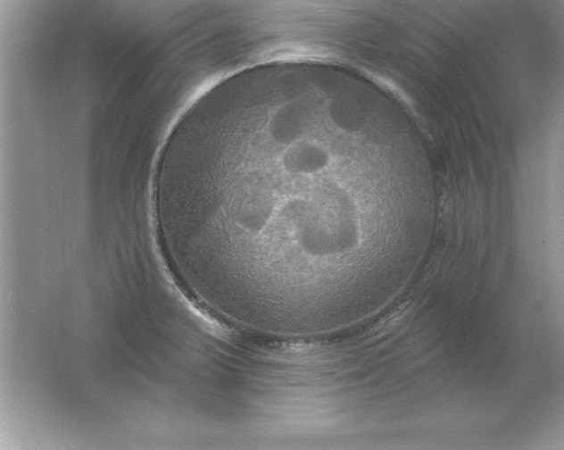 X0000061751375200512161705