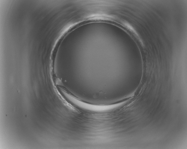 X0000061751376200512161705