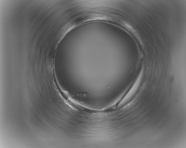 X0000061751377200512161705