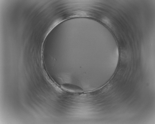 X0000061751378200512161705