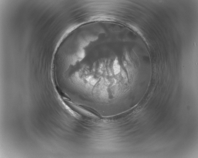 X0000061751379200512161705