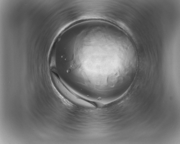 X0000061751380200512161705