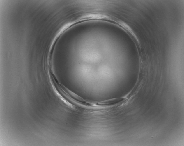 X0000061751381200512161705