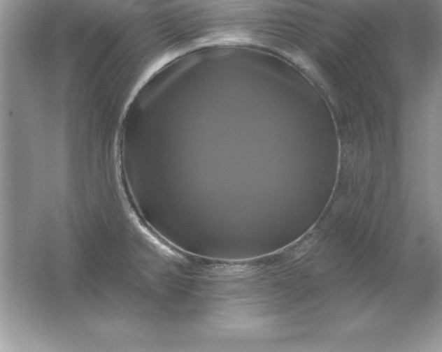 X0000061751382200512161705