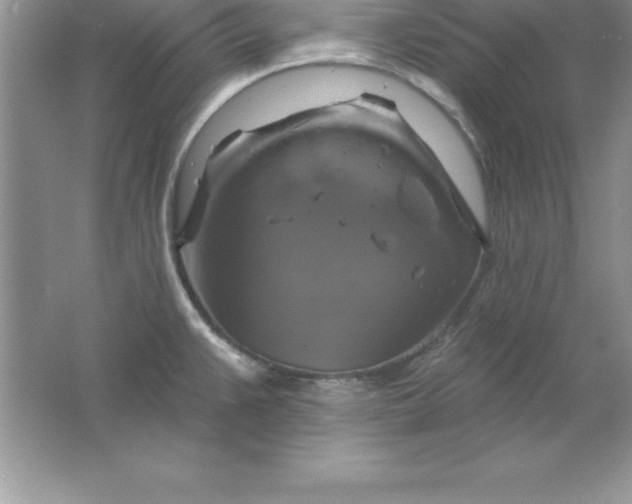 X0000061751383200512161705