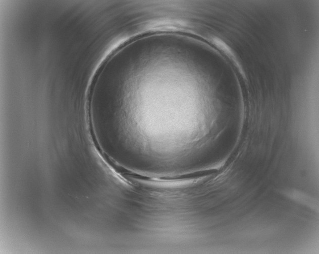 X0000061751384200512161705