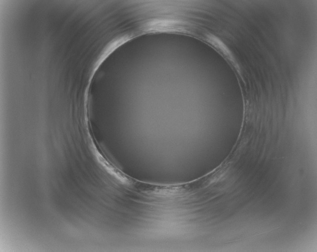 X0000061751386200512161705