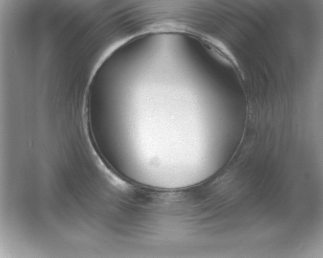 X0000061751387200512161705