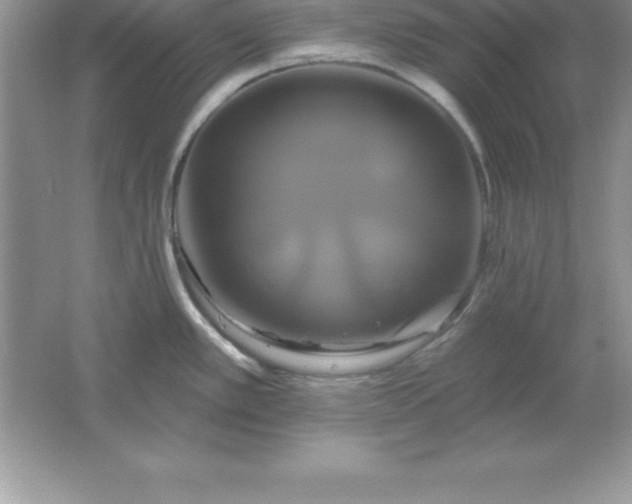 X0000061751389200512161705