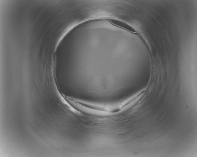 X0000061751390200512161705