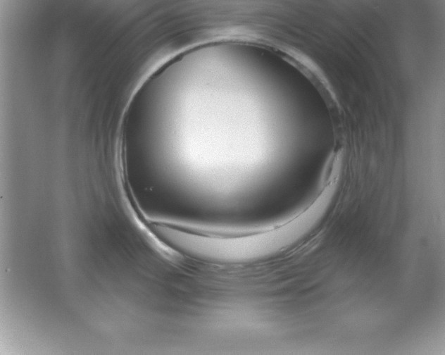 X0000061751391200512161705