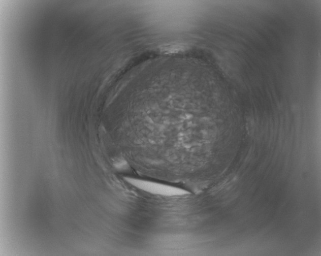 X0000061751393200512161704