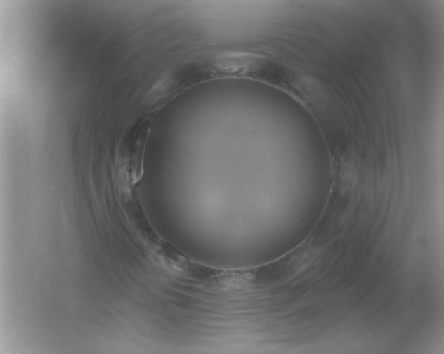 X0000061751394200512161704