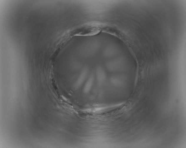 X0000061751397200512161704