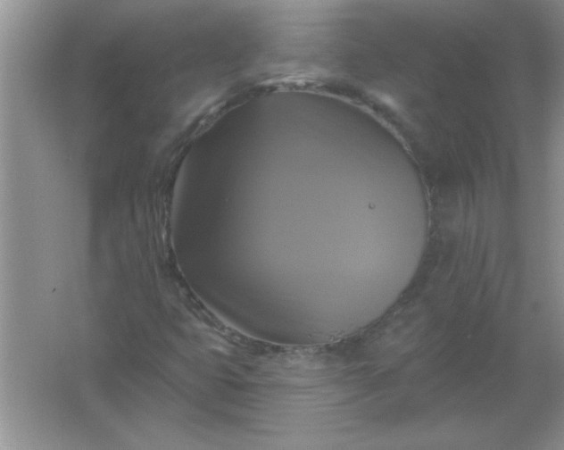 X0000061751399200512161704