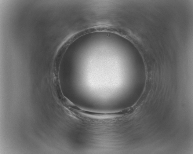 X0000061751400200512161704