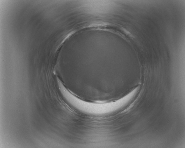 X0000061751401200512161704