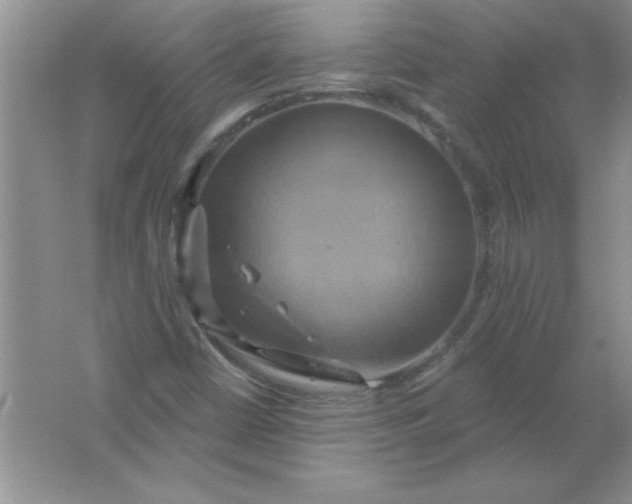 X0000061751402200512161704