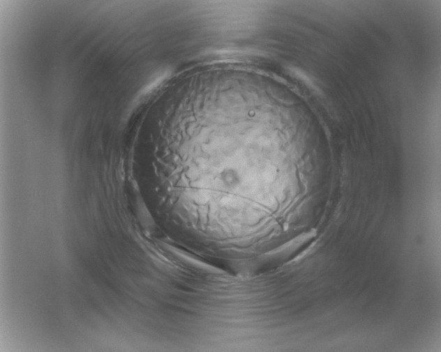 X0000061751403200512161704