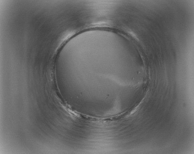 X0000061751405200512161704