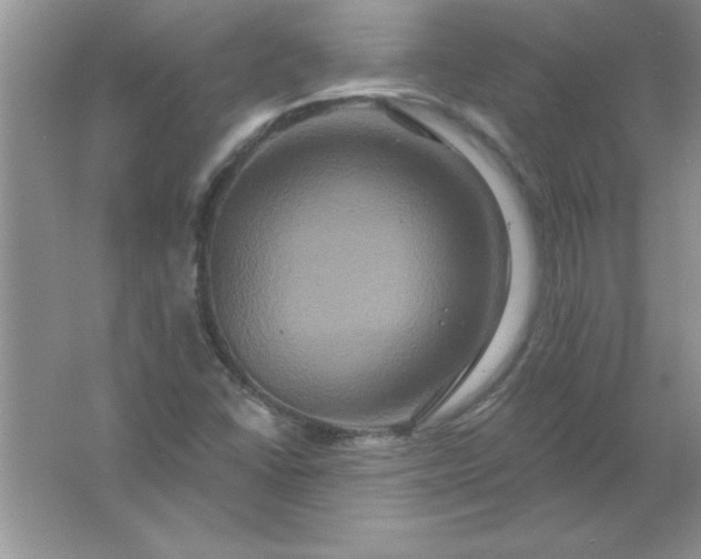 X0000061751406200512161704