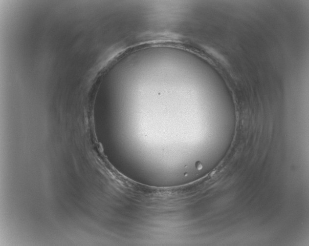 X0000061751407200512161704