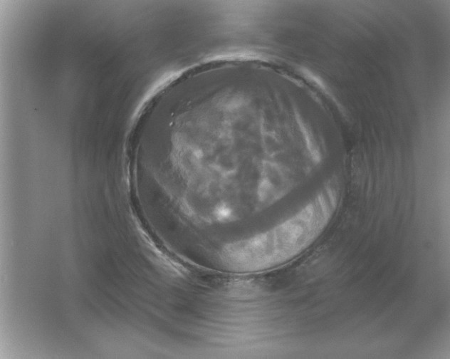 X0000061751408200512161704