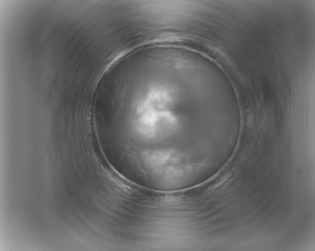 X0000061751409200512161704