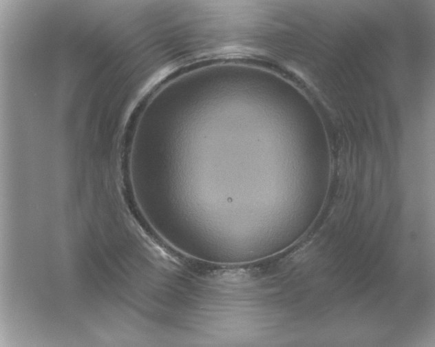 X0000061751410200512161704