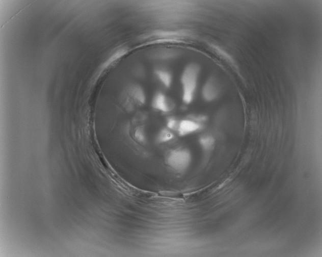 X0000061751411200512161704