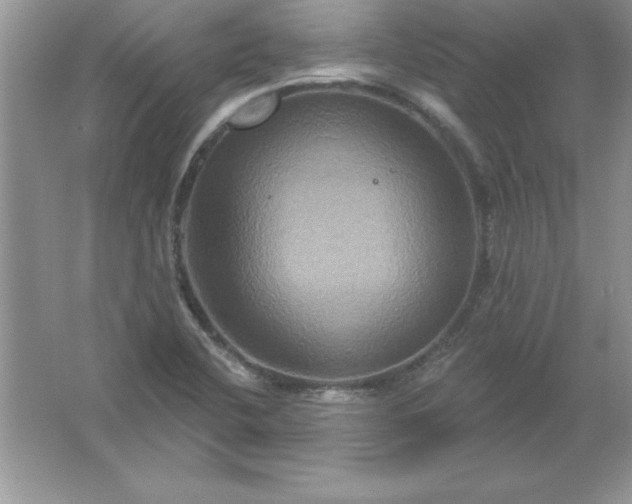 X0000061751412200512161704