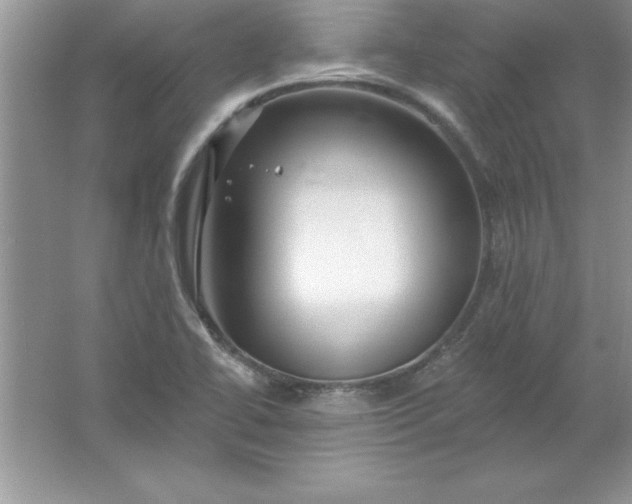 X0000061751414200512161704