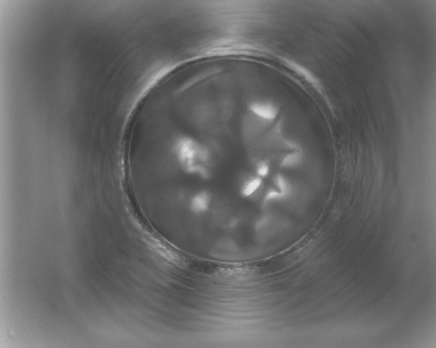 X0000061751415200512161704