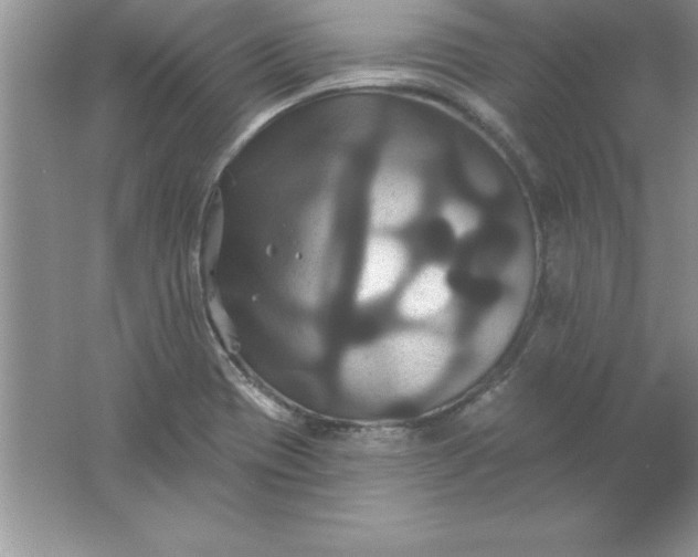 X0000061751417200512161704