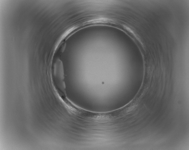 X0000061751418200512161704