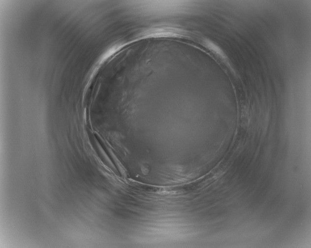 X0000061751419200512161705