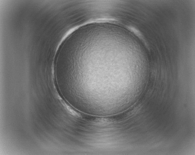 X0000061751420200512161705