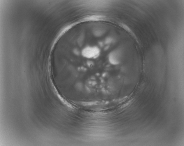 X0000061751421200512161705