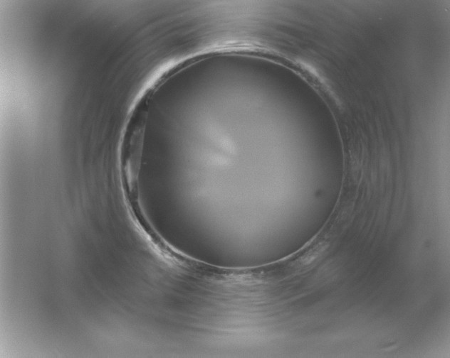 X0000061751422200512161705