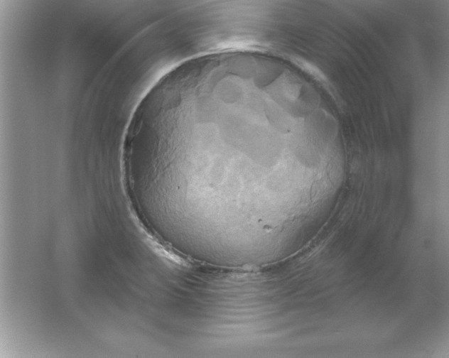 X0000061751423200512161705