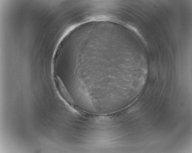 X0000061751424200512161705