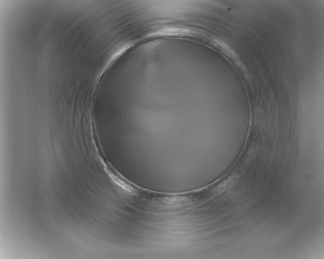 X0000061751425200512161705