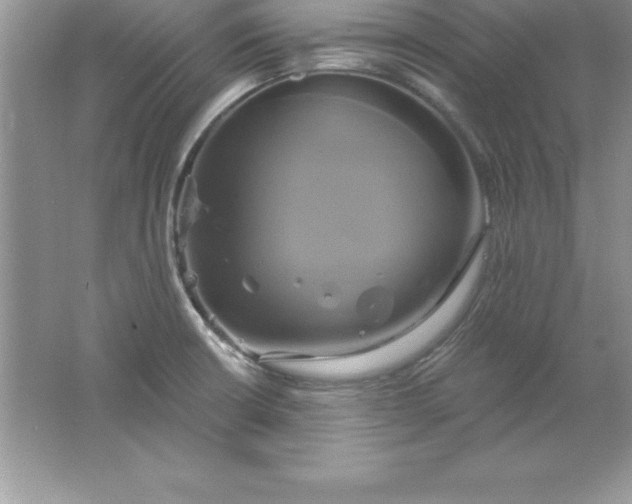 X0000061751426200512161705