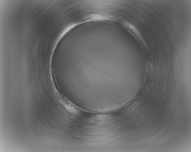 X0000061751427200512161705