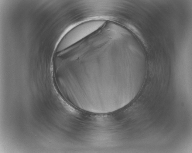 X0000061751428200512161705