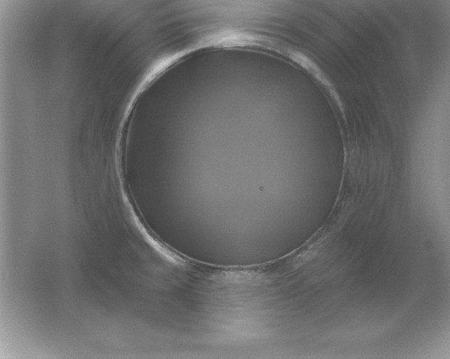 X0000061751429200512161705